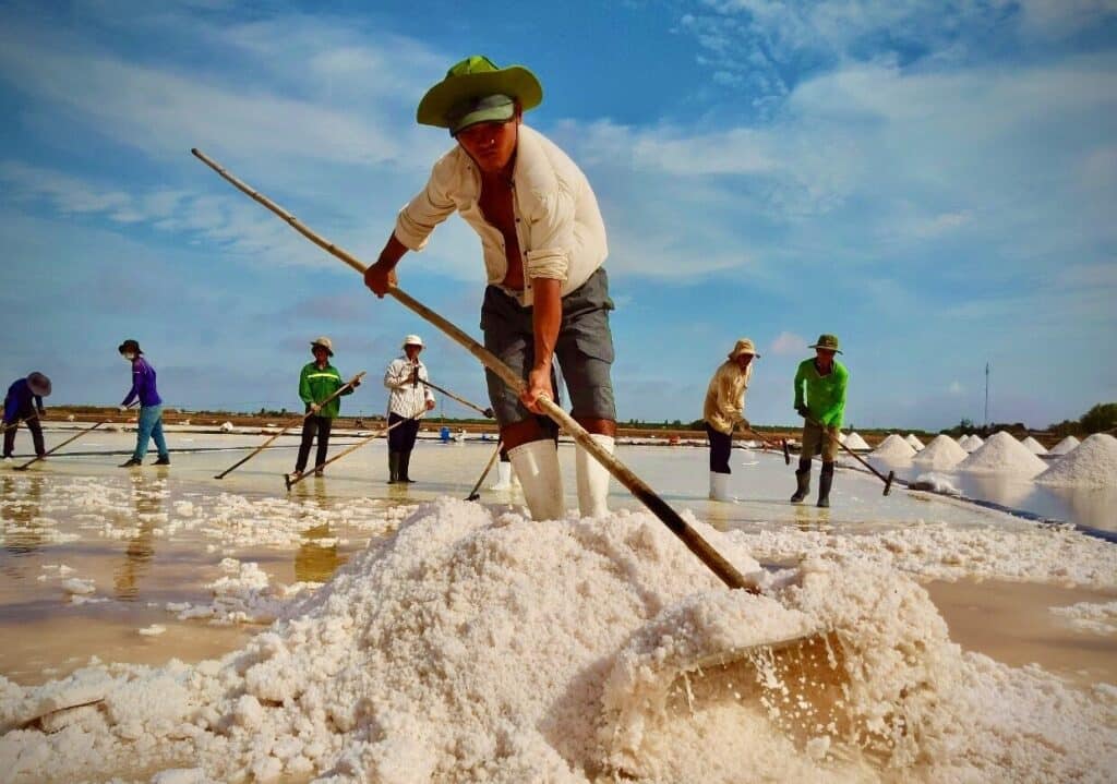 dich vu xay dung fanpage tai bac lieu 2 2- 2 Dịch vụ xây dựng fanpage tại Bạc Liêu nâng tầm giá trị hạt muối địa phương.