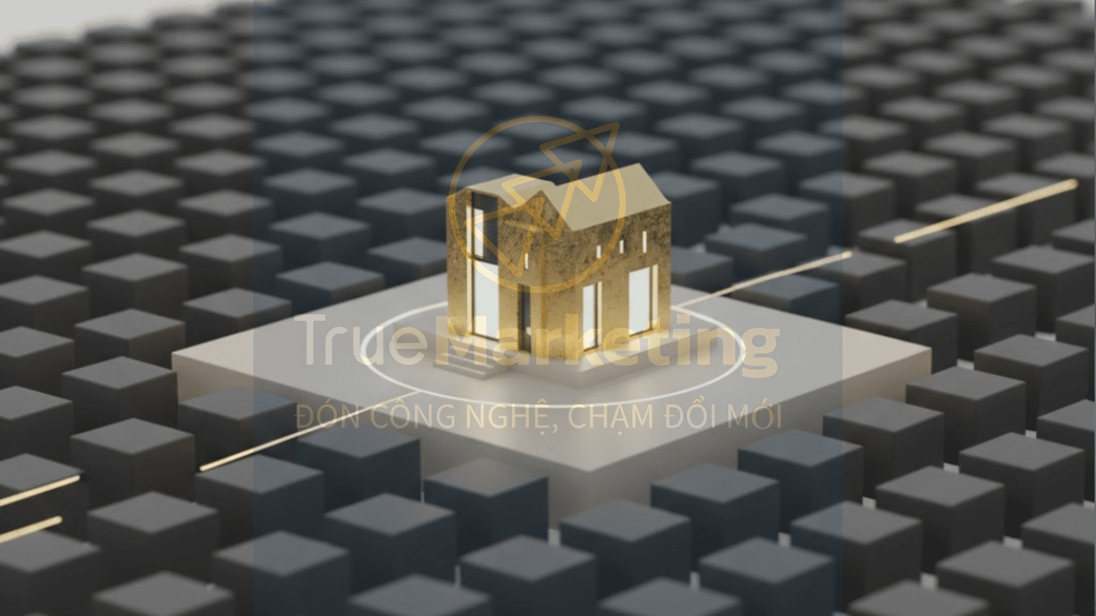 Doanh nghiệp vững chãi dựa trên nền móng là những yếu tố then chốt